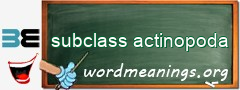 WordMeaning blackboard for subclass actinopoda